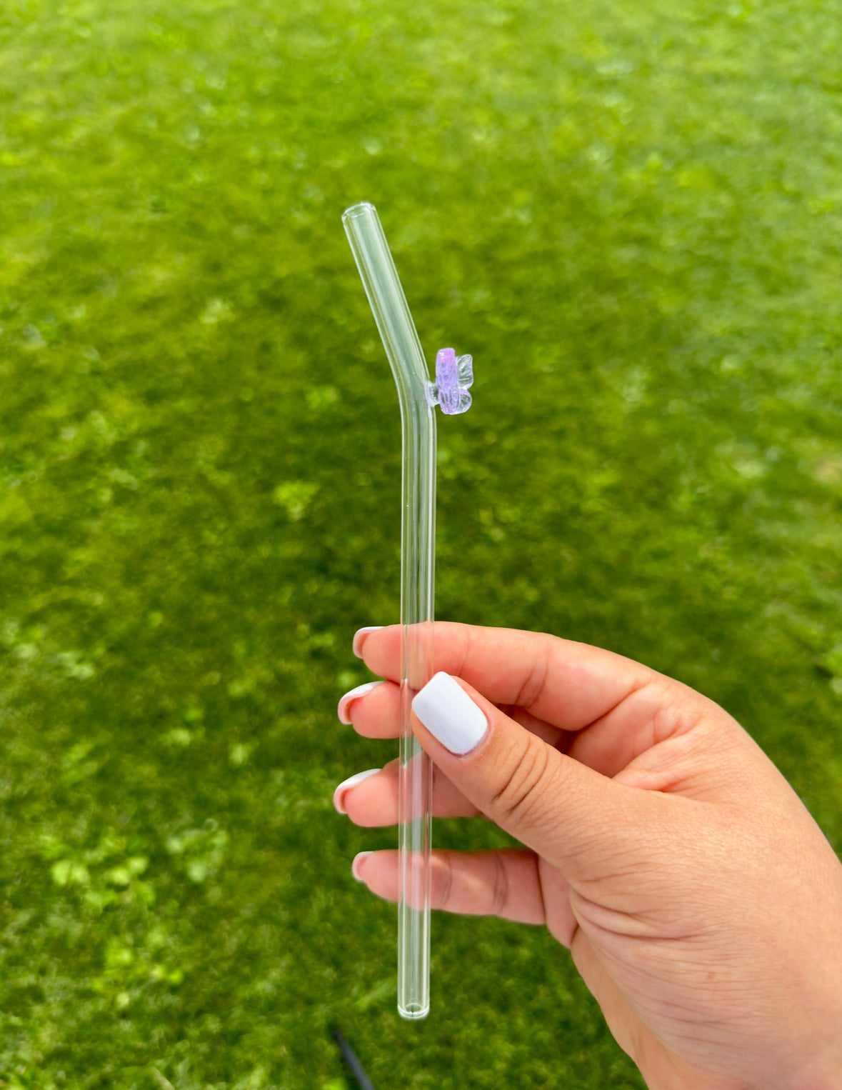 Schmetterlings-Glasstrohhalm